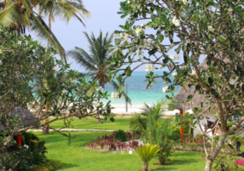 Zanzibar – wyspa wrażeń